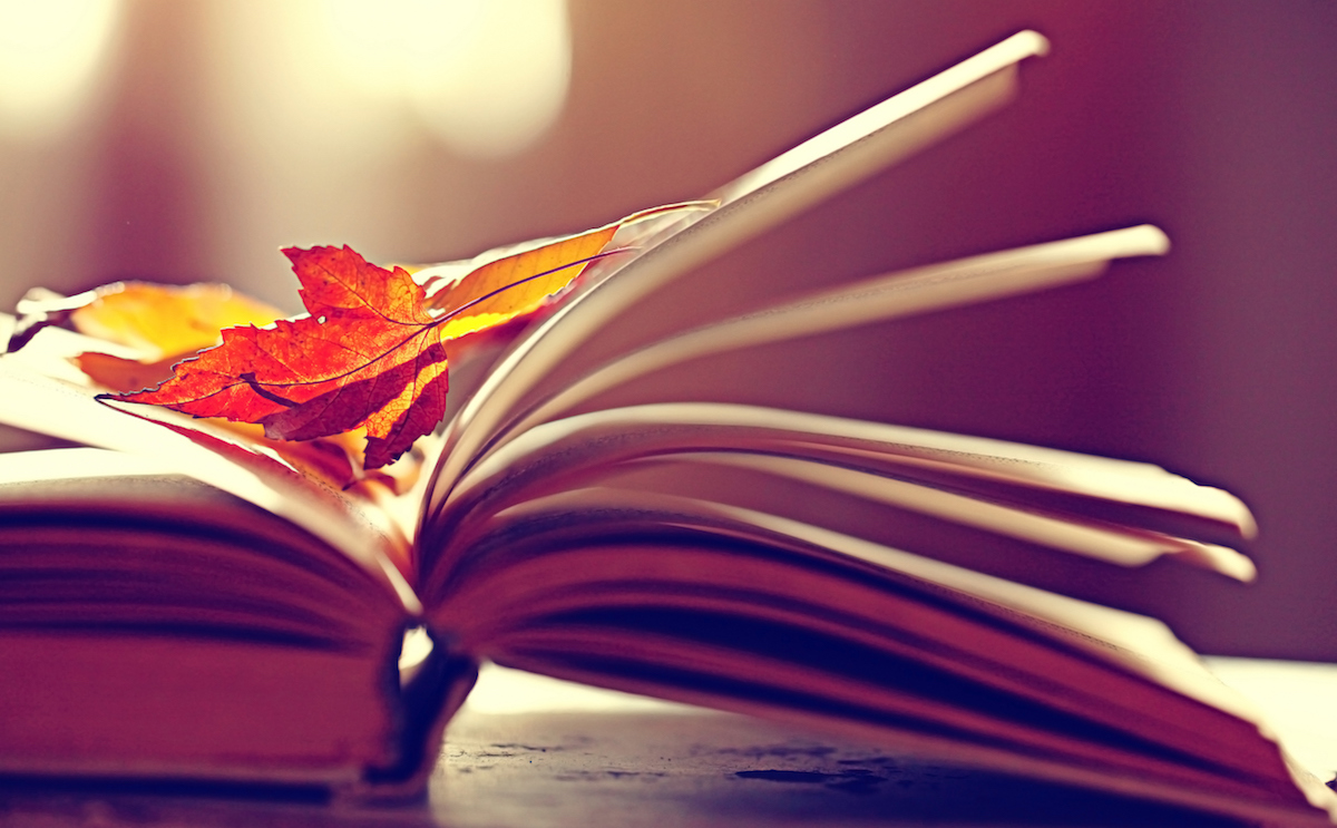 Of Books And Branches: Here’s Your Fall Reading List