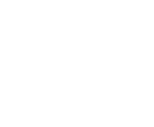 erickson logo 2025