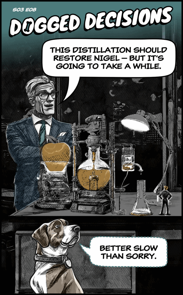 DD S3 E8 Panel1 style